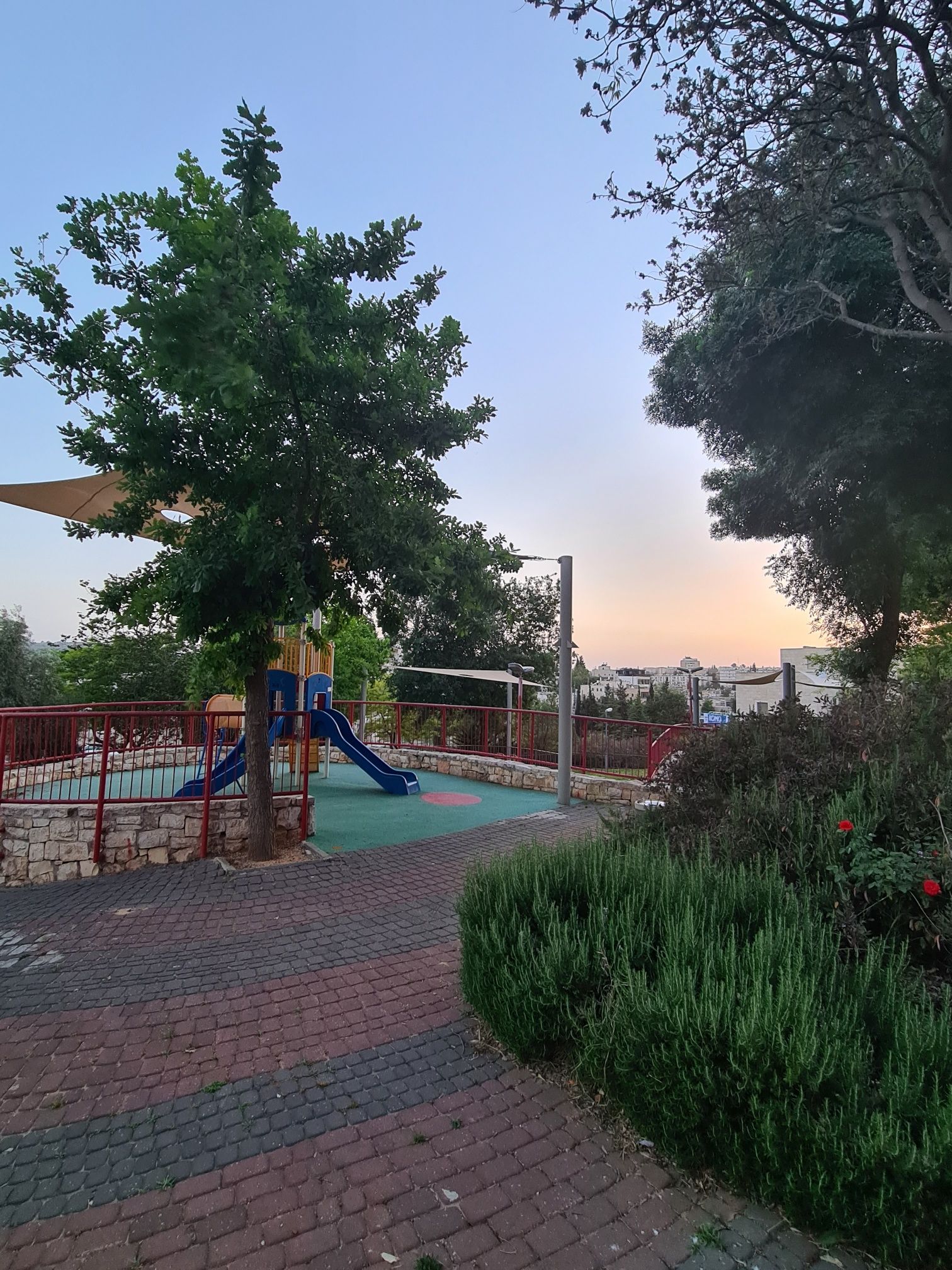 נדירה ברמת שרת מהסמארטפון שלי