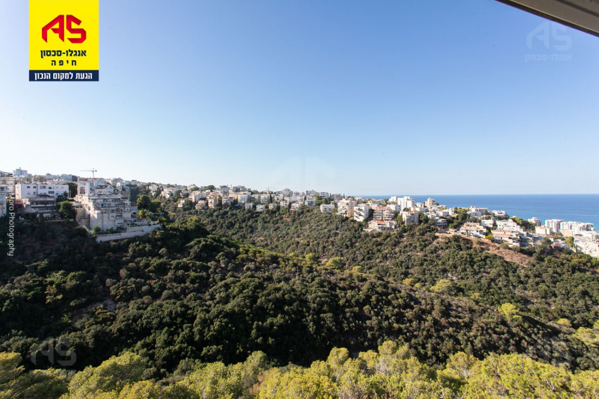 דירה 3.5 חדרים בבית לחם, כרמל צרפתי, חיפה