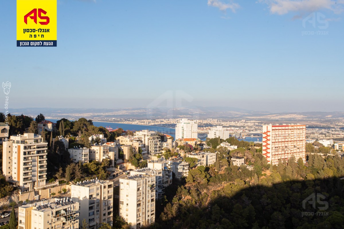 דירה 4 חדרים בזאב שוהם, אחוזה , חיפה דירה 4 חדרים בזאב שוהם, אחוזה , חיפה