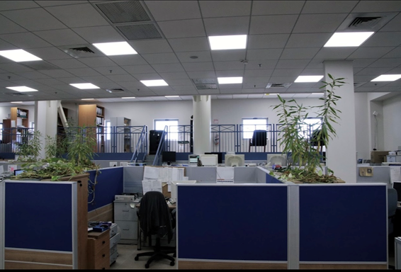 Bureau  HaKishon Street, Neve Ilan,  Yavne מהסמארטפון שלי