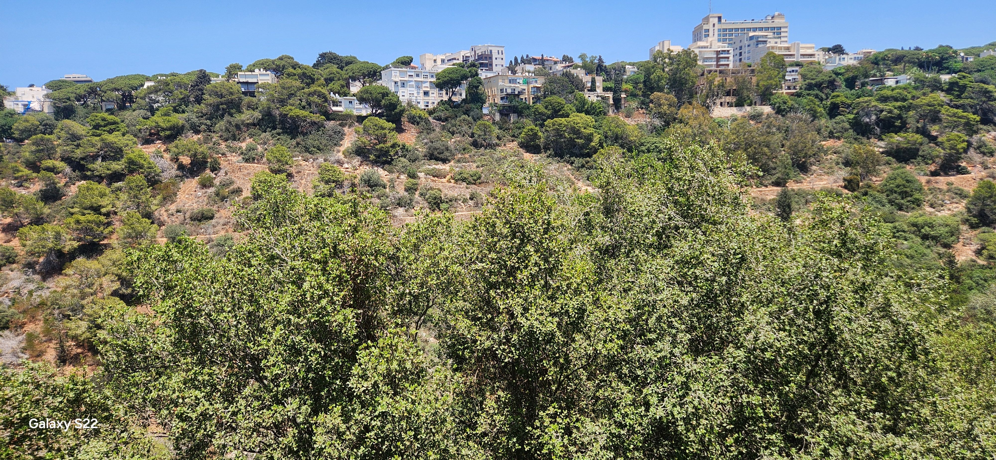 Appartement 4 Pièces à Shoshanat Ha'Karmel Street, Mt. Karmel West,  Haifa Appartement 4 Pièces à Shoshanat Ha'Karmel Street, Mt. Karmel West,  Haifa