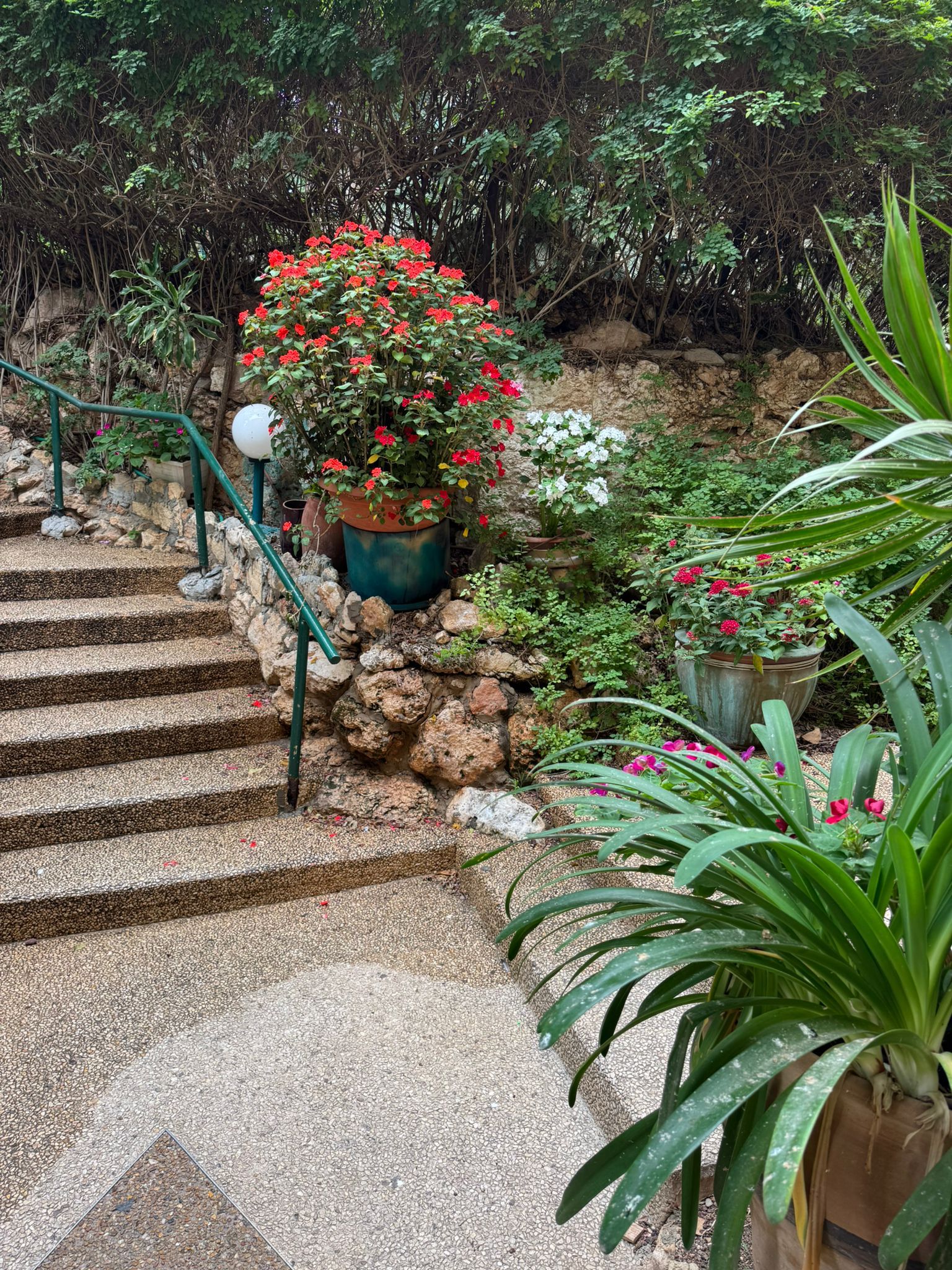 דירה 3 חדרים בבית לחם, כרמל צרפתי, חיפה מהסמארטפון שלי