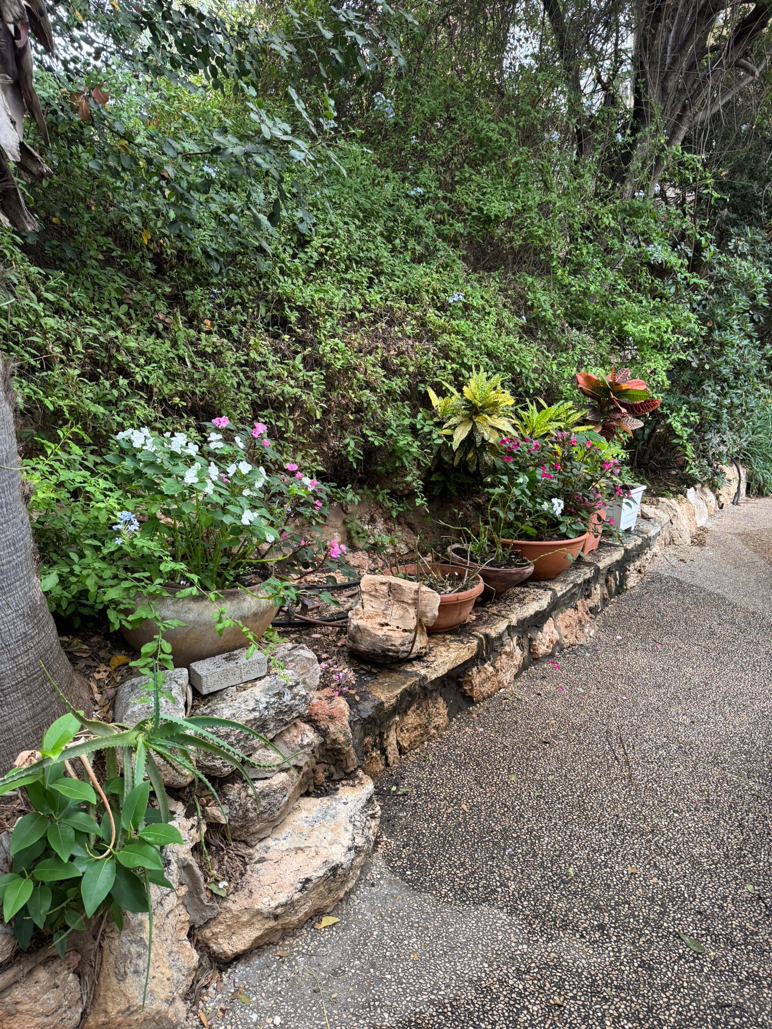 דירה 3 חדרים בבית לחם, כרמל צרפתי, חיפה מהסמארטפון שלי