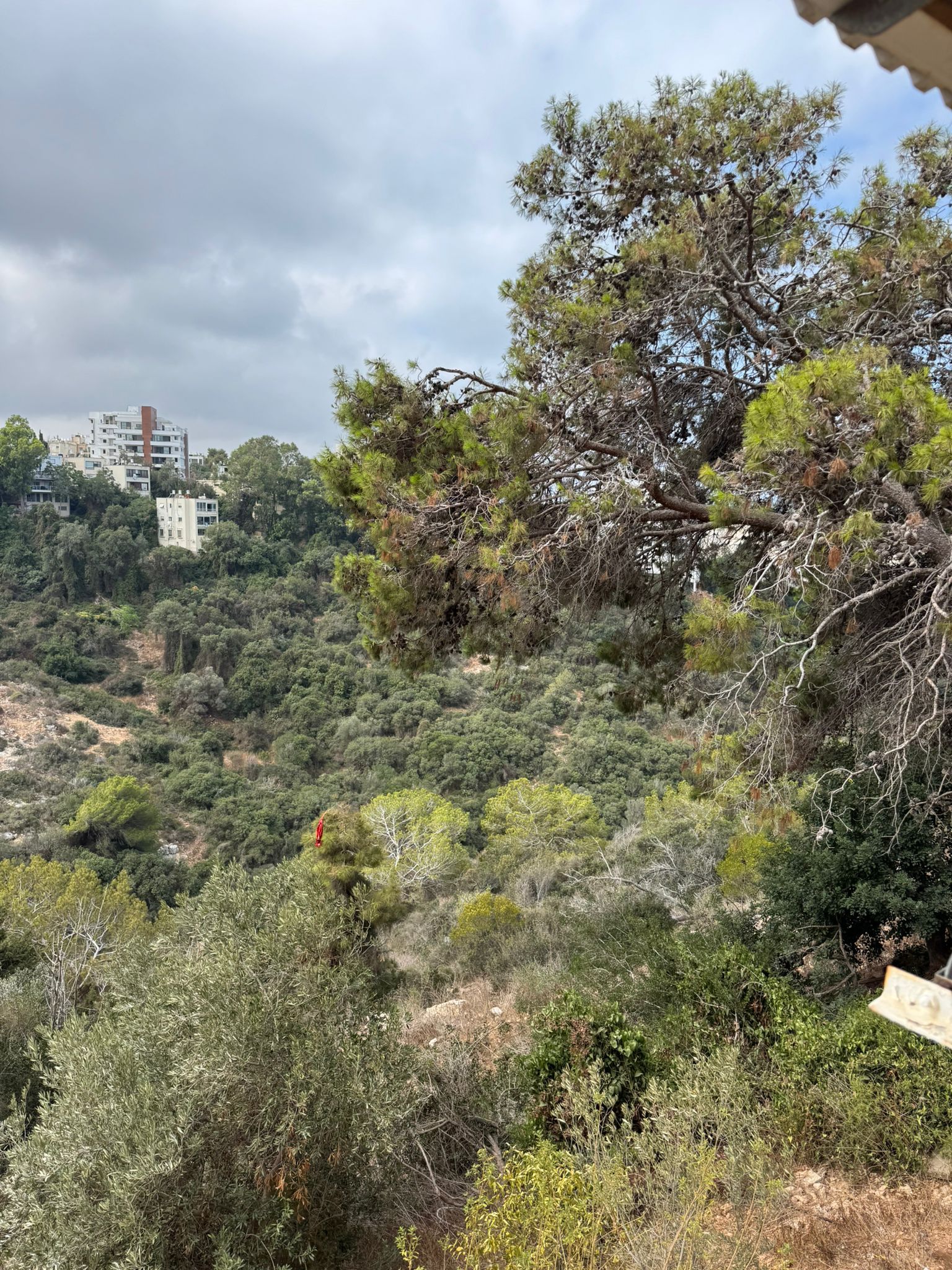 דירה 3 חדרים בבית לחם, כרמל צרפתי, חיפה מהסמארטפון שלי