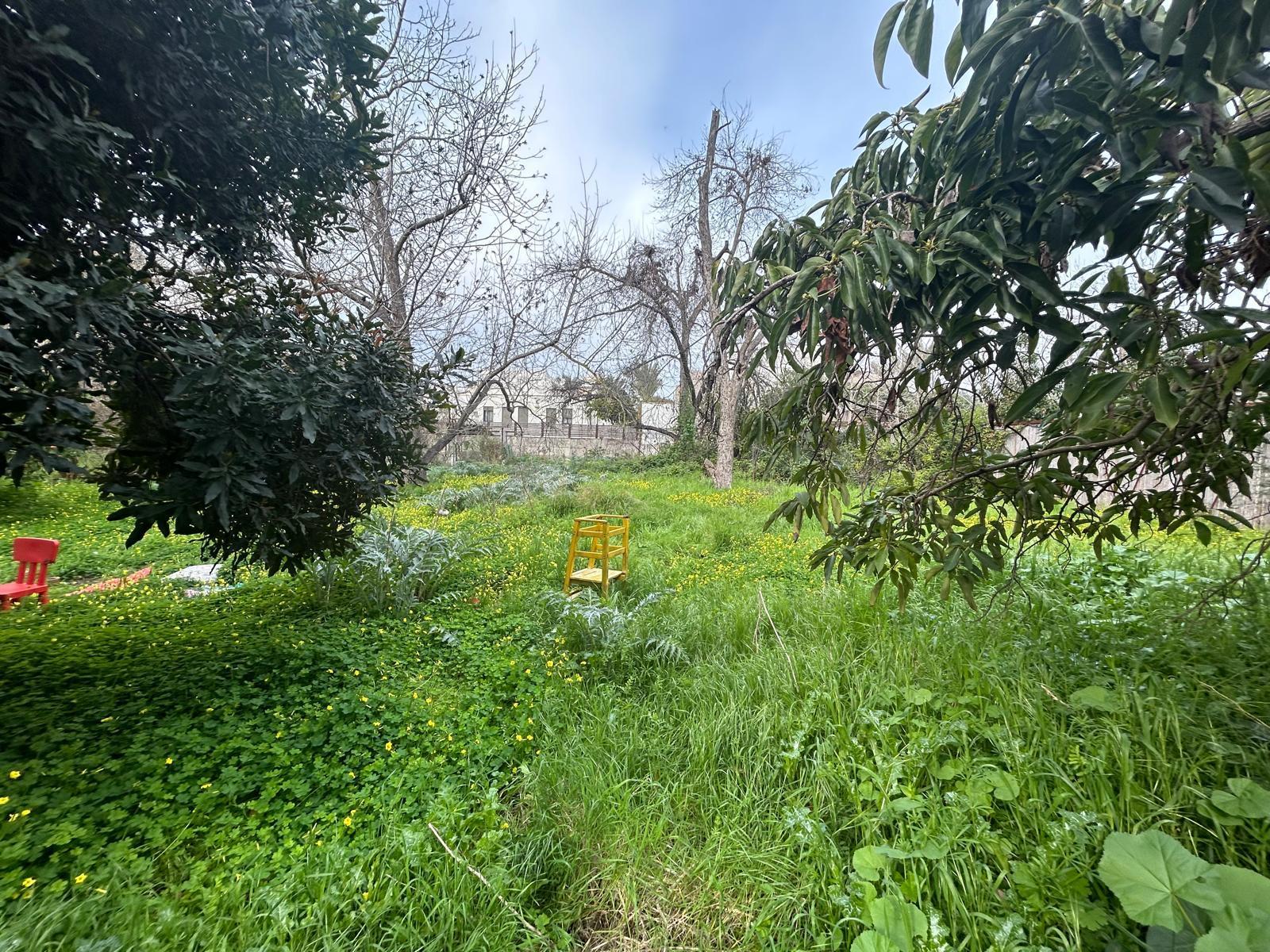 דירה בהעלייה, פרדס חנה כרכור