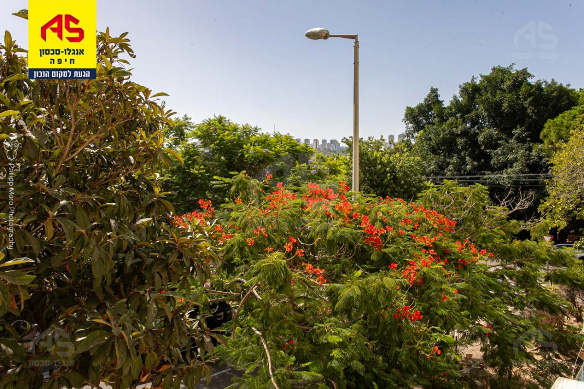   For Sale Apartment 4.5 Rooms in Ha-Tikhon Street, Neve Sha'anan,  Haifa