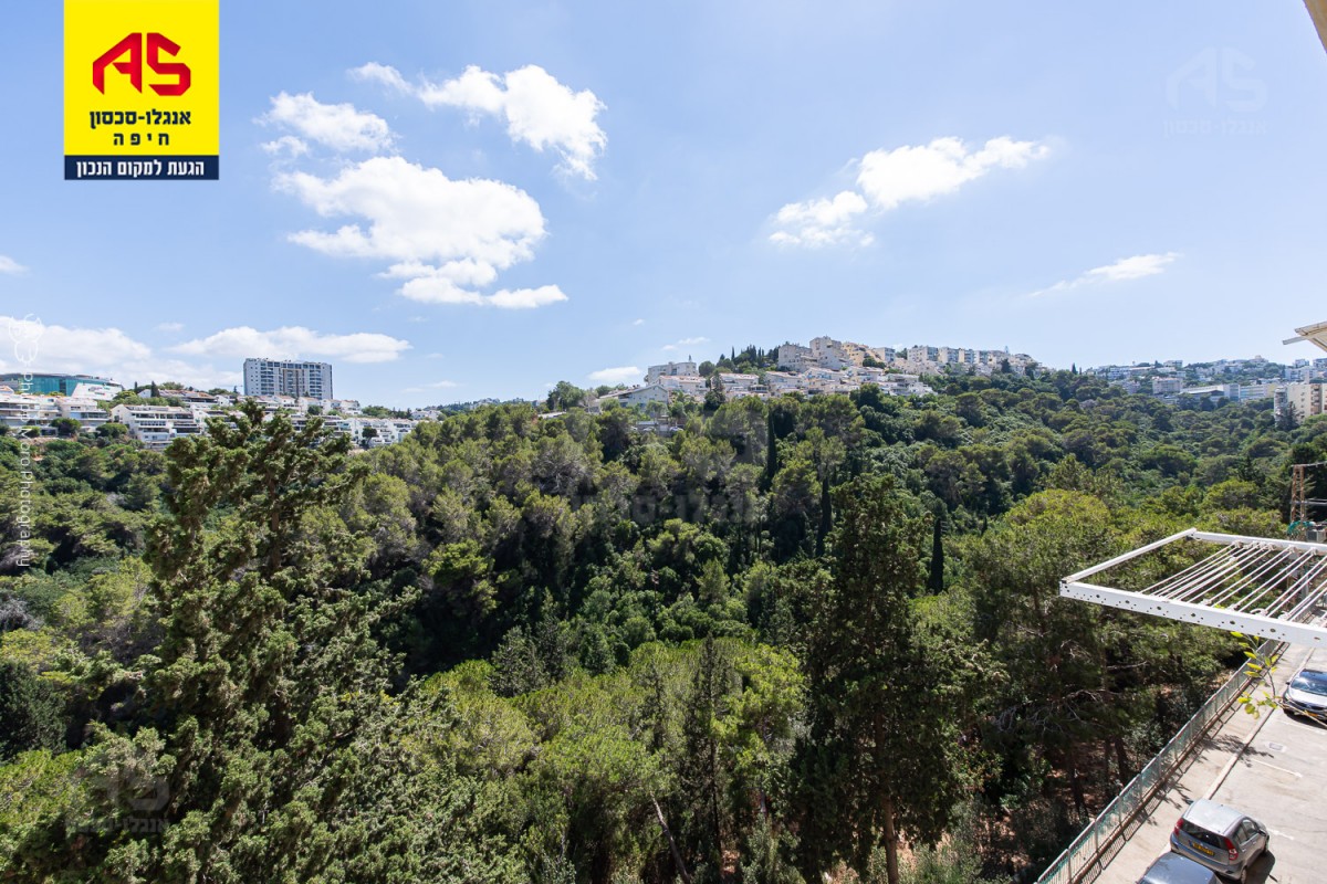 דירה 3.5 חדרים בלאון בלום, הדר עליון , חיפה
