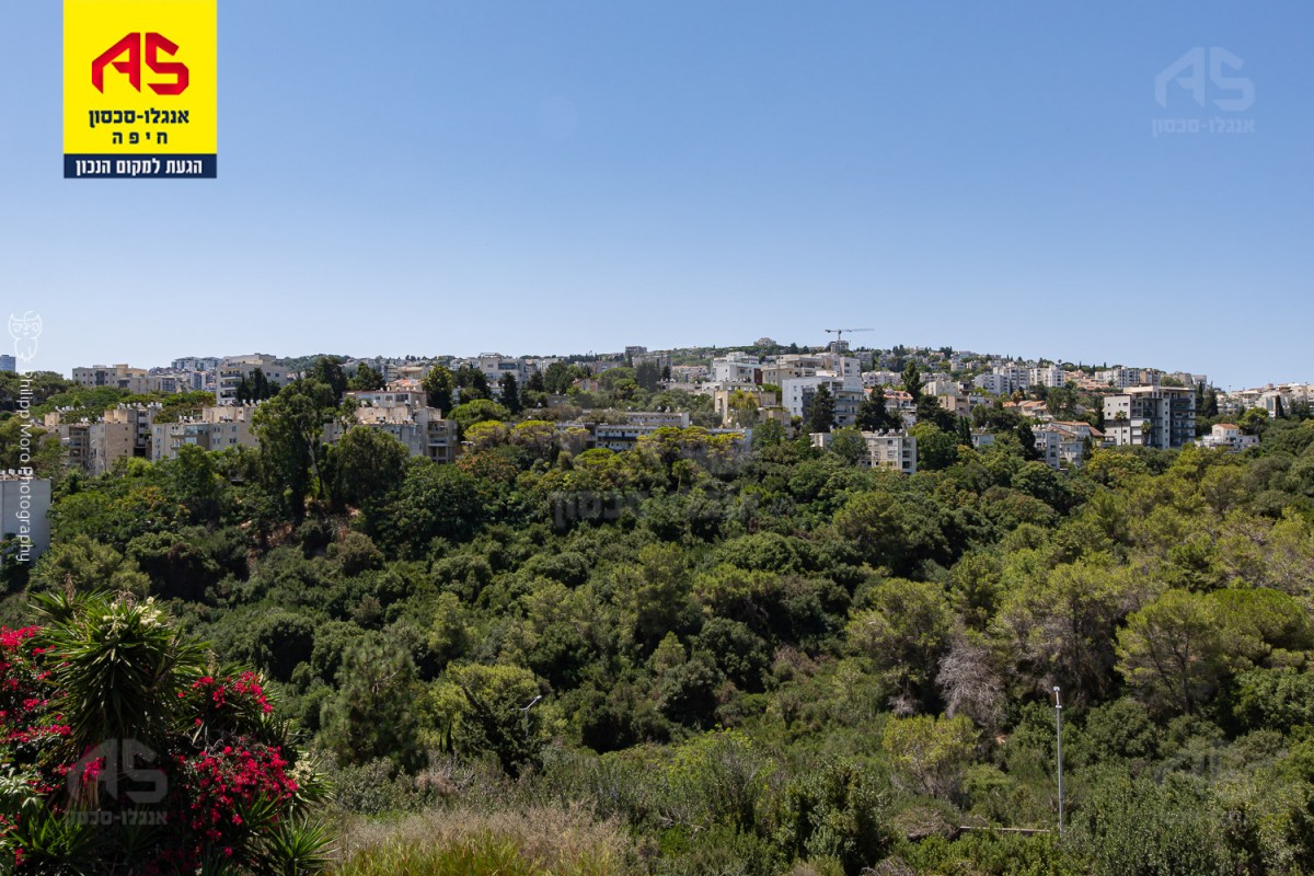 פנטהאוז בנורית, ורדיה , חיפה