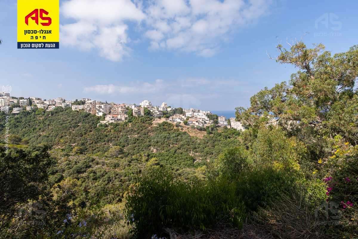 דירה 4.5 חדרים בבית לחם, כרמל צרפתי , חיפה